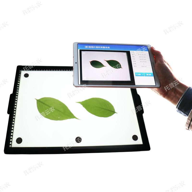 蟲(chóng)斑面積測(cè)量系統(tǒng)
